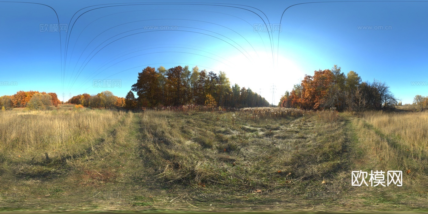 户外天空树木自然风景