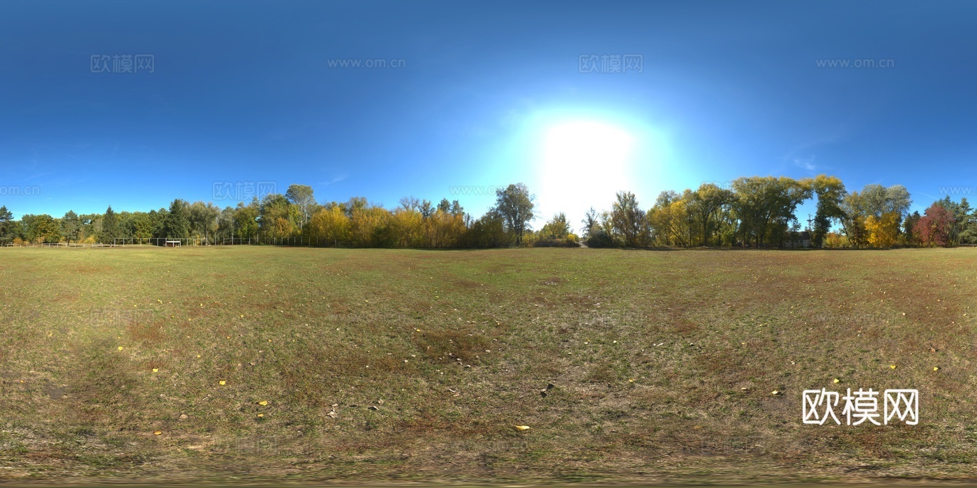 户外天空树木草地自然风景