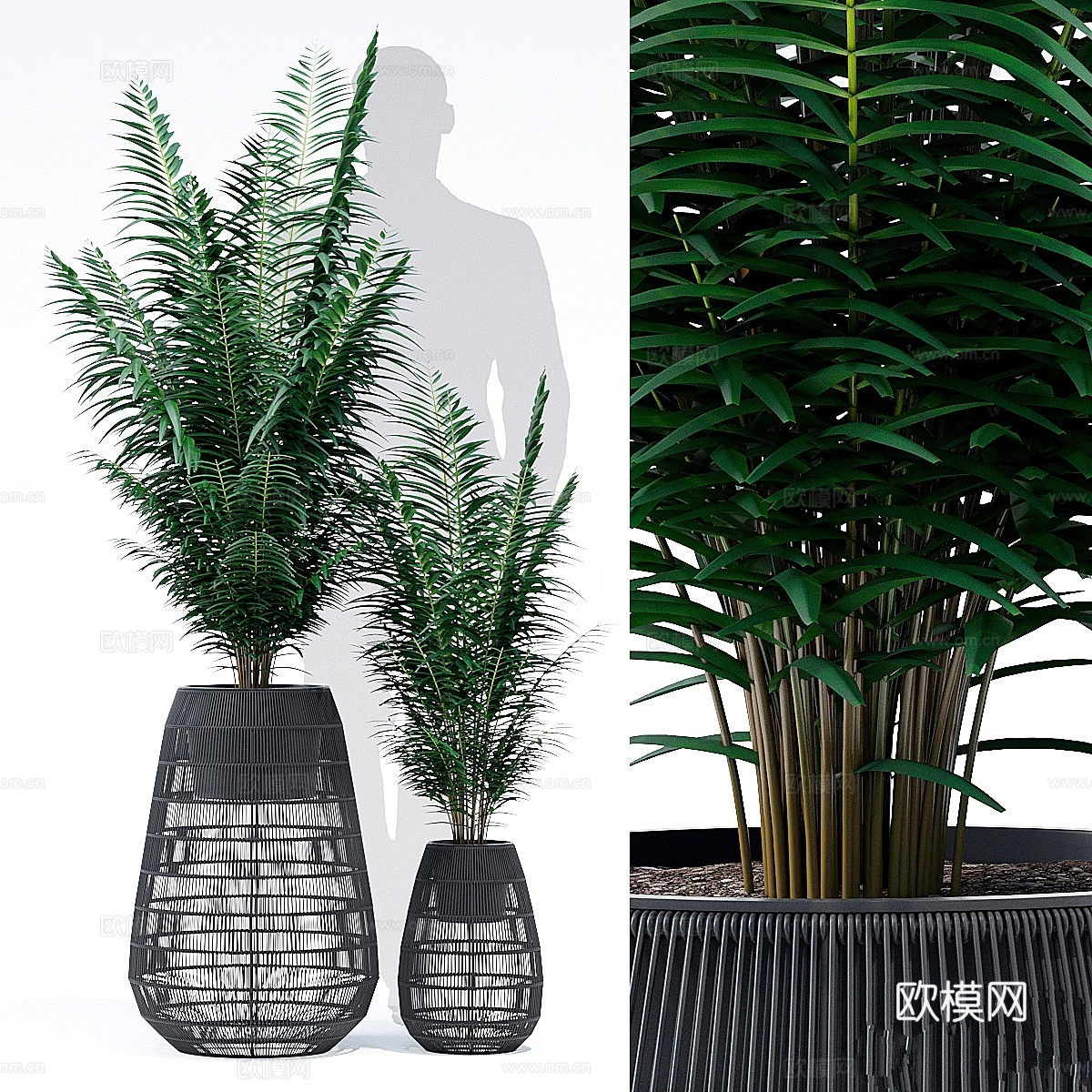 Nadda高柜3d模型下载