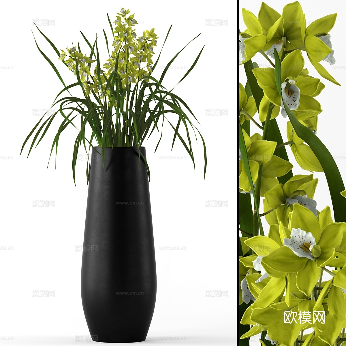 落地花瓶中的石斛兰3d模型下载