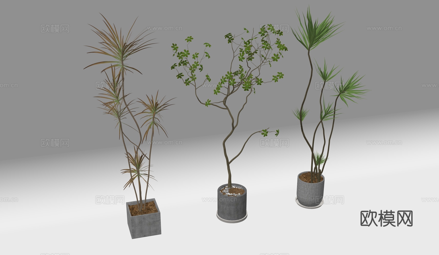 绿植盆栽su模型