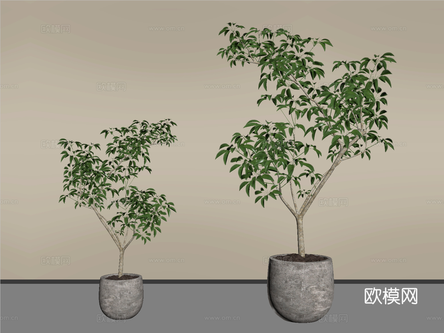 现代植物 盆栽 绿植su模型