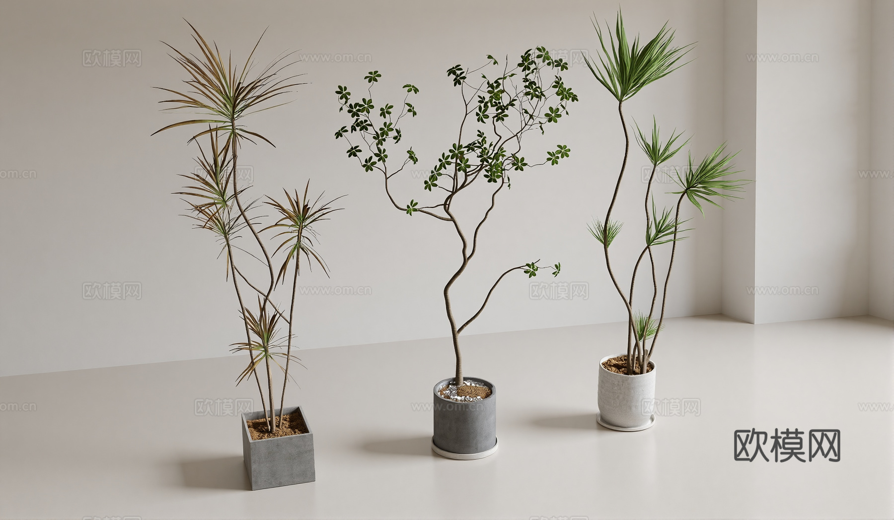 绿植盆栽su模型