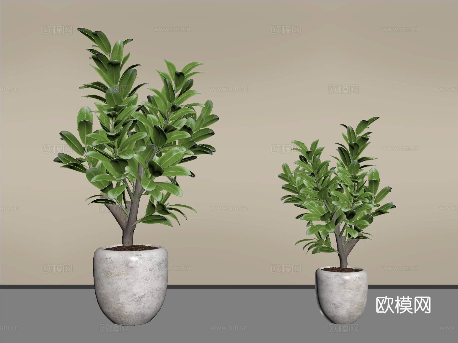 现代植物 盆栽 绿植su模型