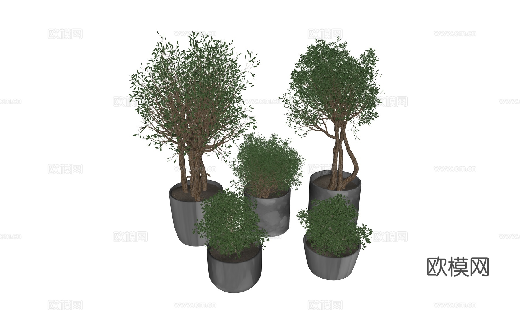 绿植盆栽组合su模型