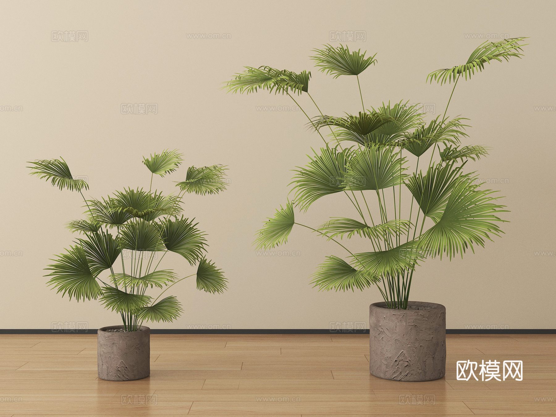 现代植物 盆栽 绿植su模型