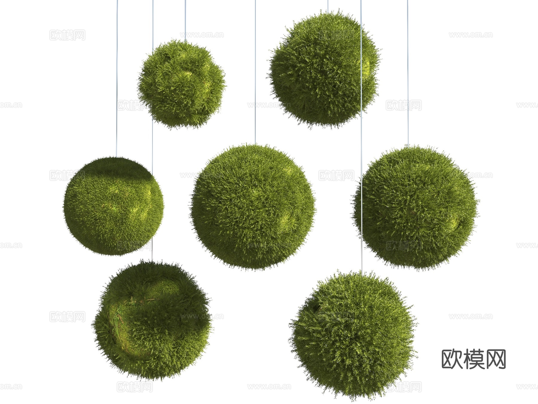 装饰苔藓球 苔藓球 植物球 灌木球 苔藓组合 苔藓挂件 现代su模型
