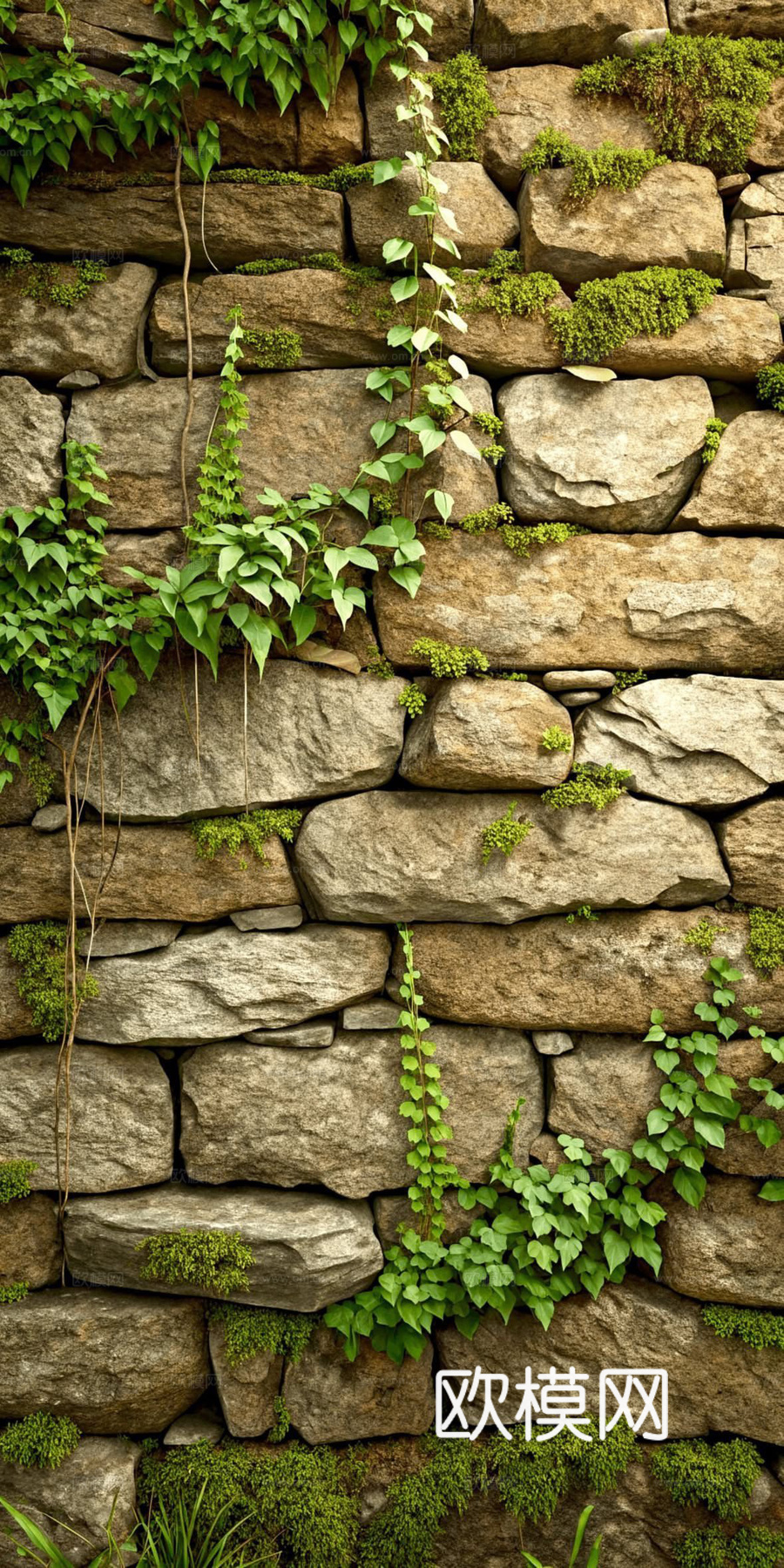绿植砖墙