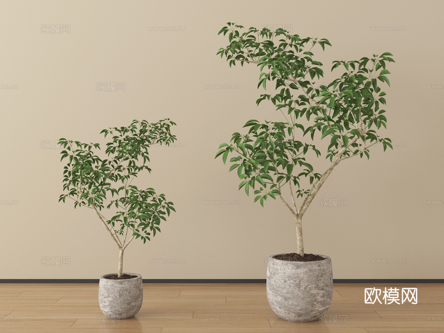 现代植物 盆栽 绿植su模型