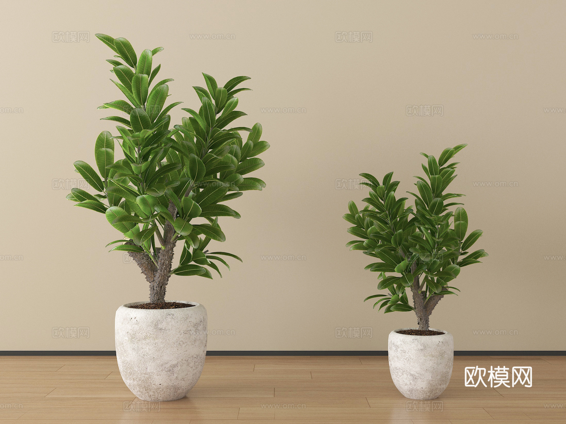 现代植物 盆栽 绿植su模型