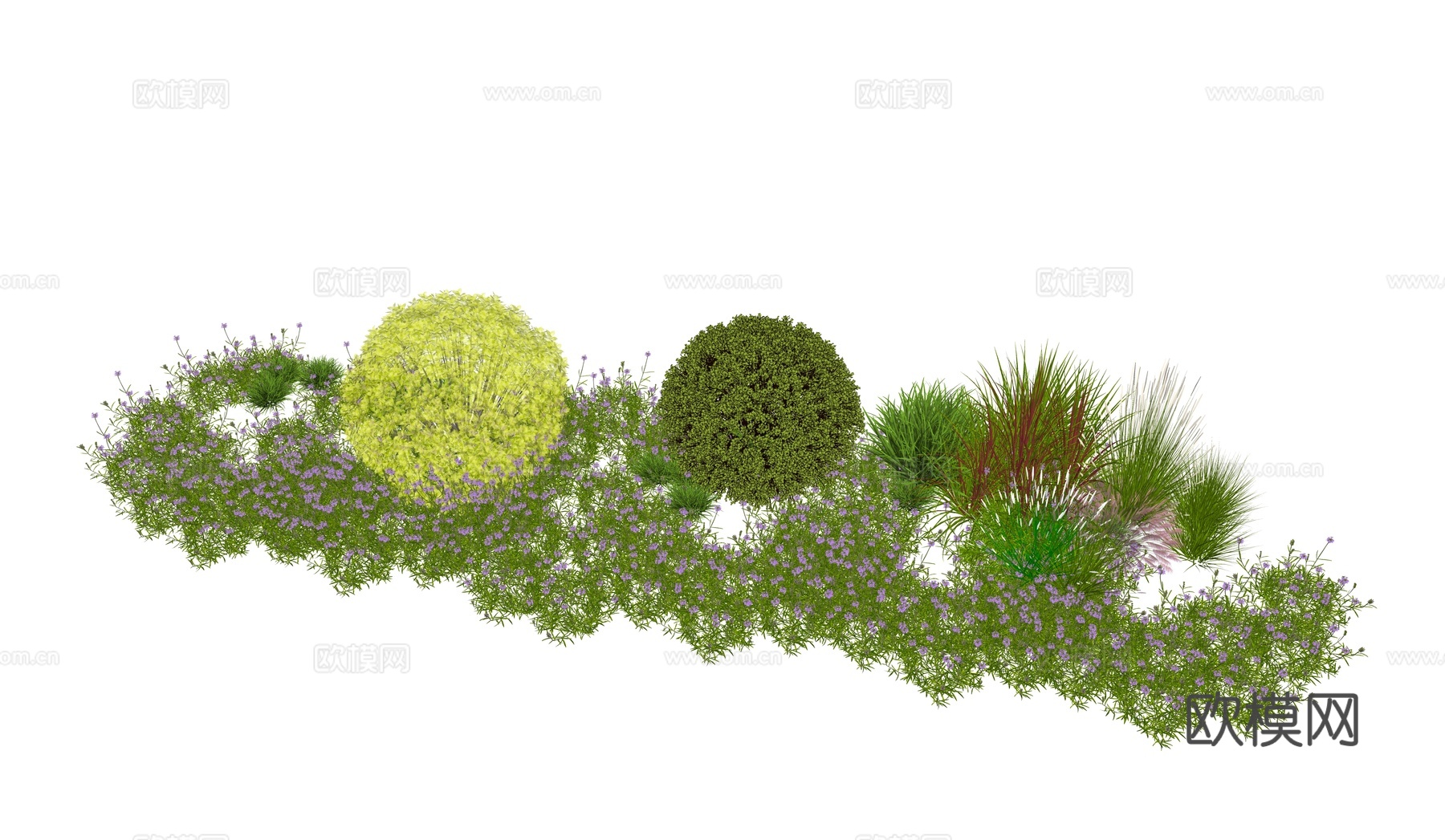 景观绿植植物组合su模型