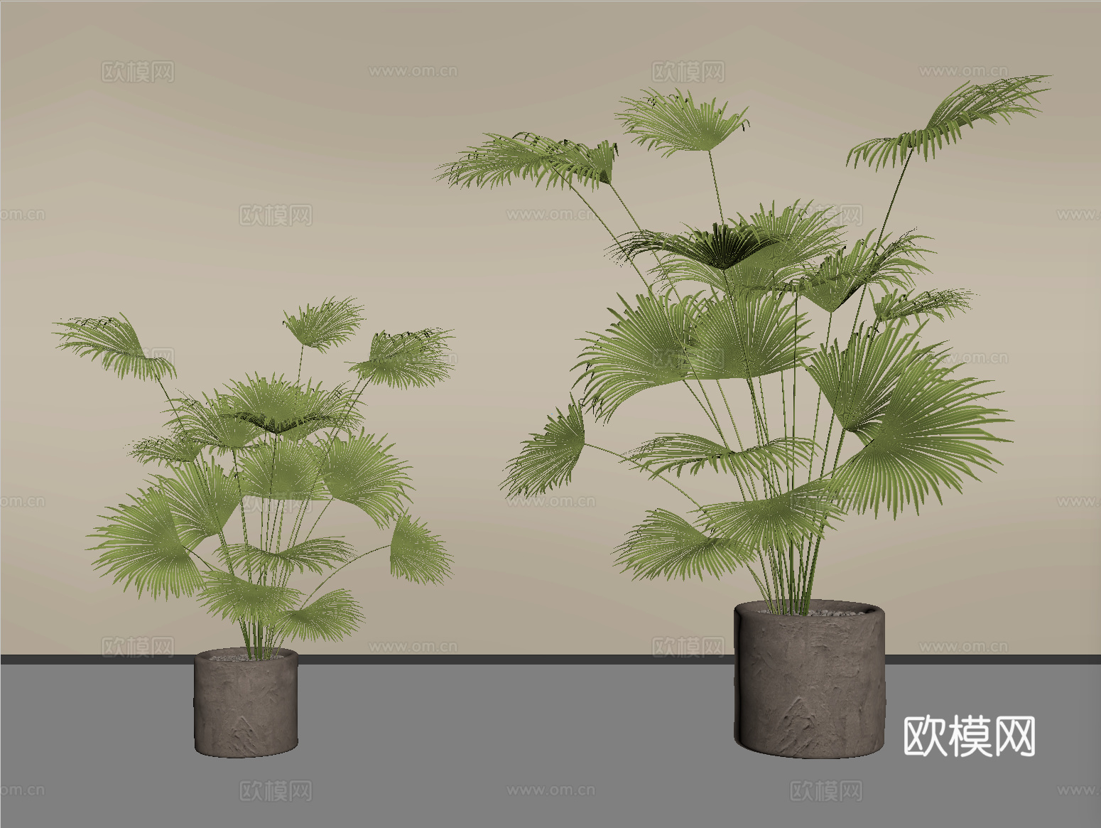 现代植物 盆栽 绿植su模型