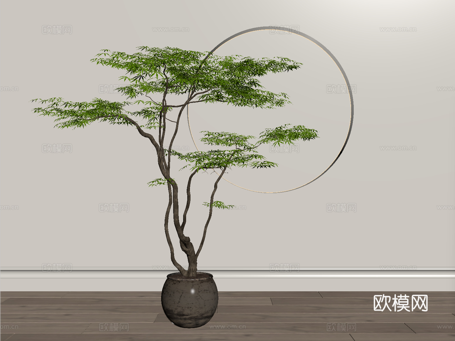 现代盆栽 绿植 盆景 陶罐su模型