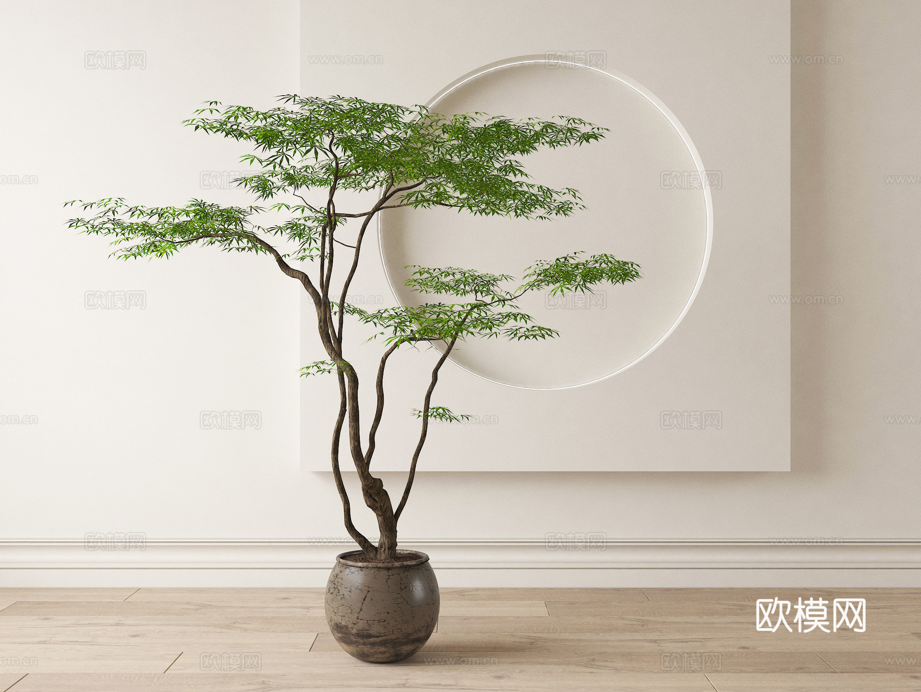 现代盆栽 绿植 盆景 陶罐su模型