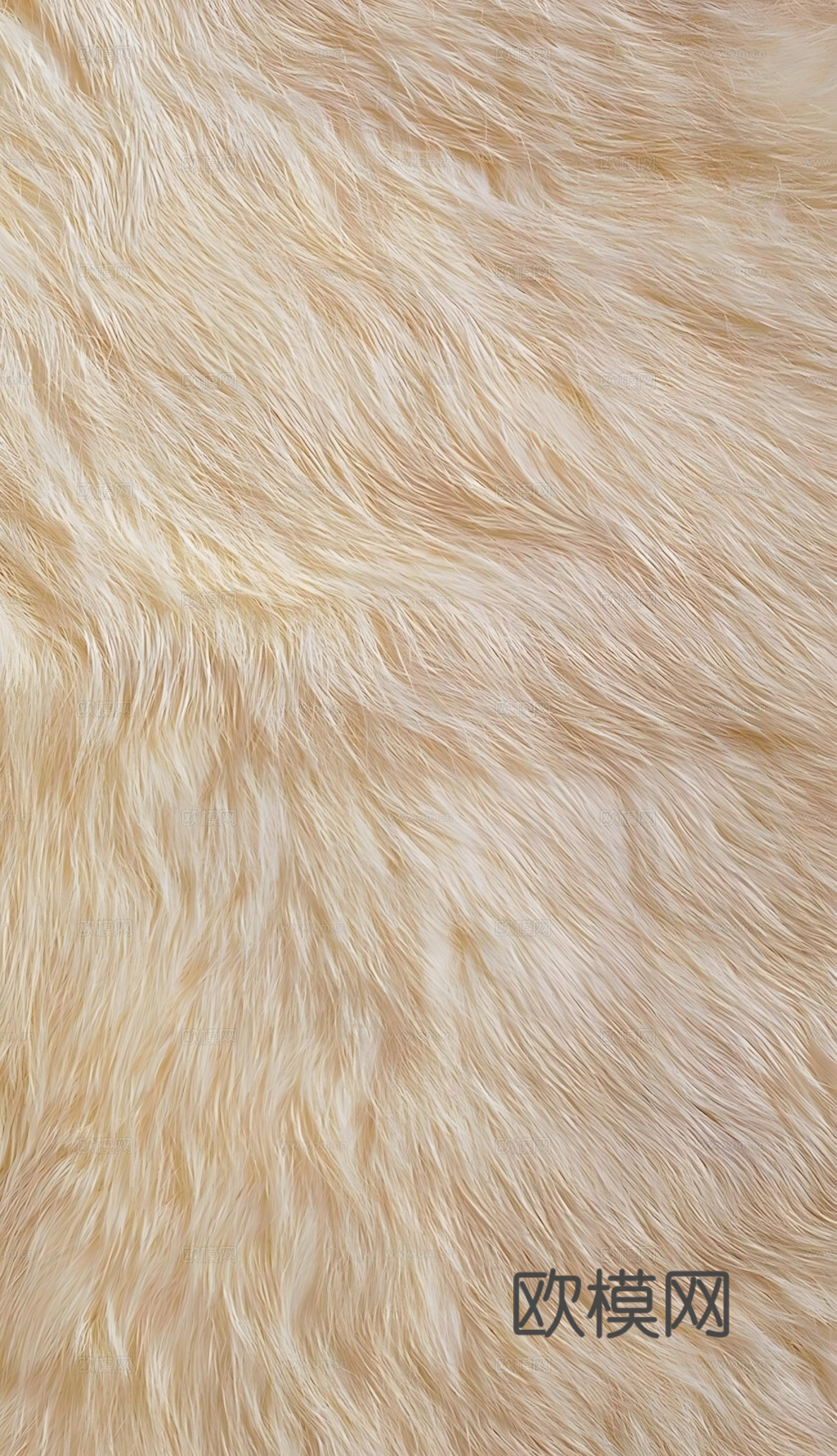 动物皮毛，毛绒地毯