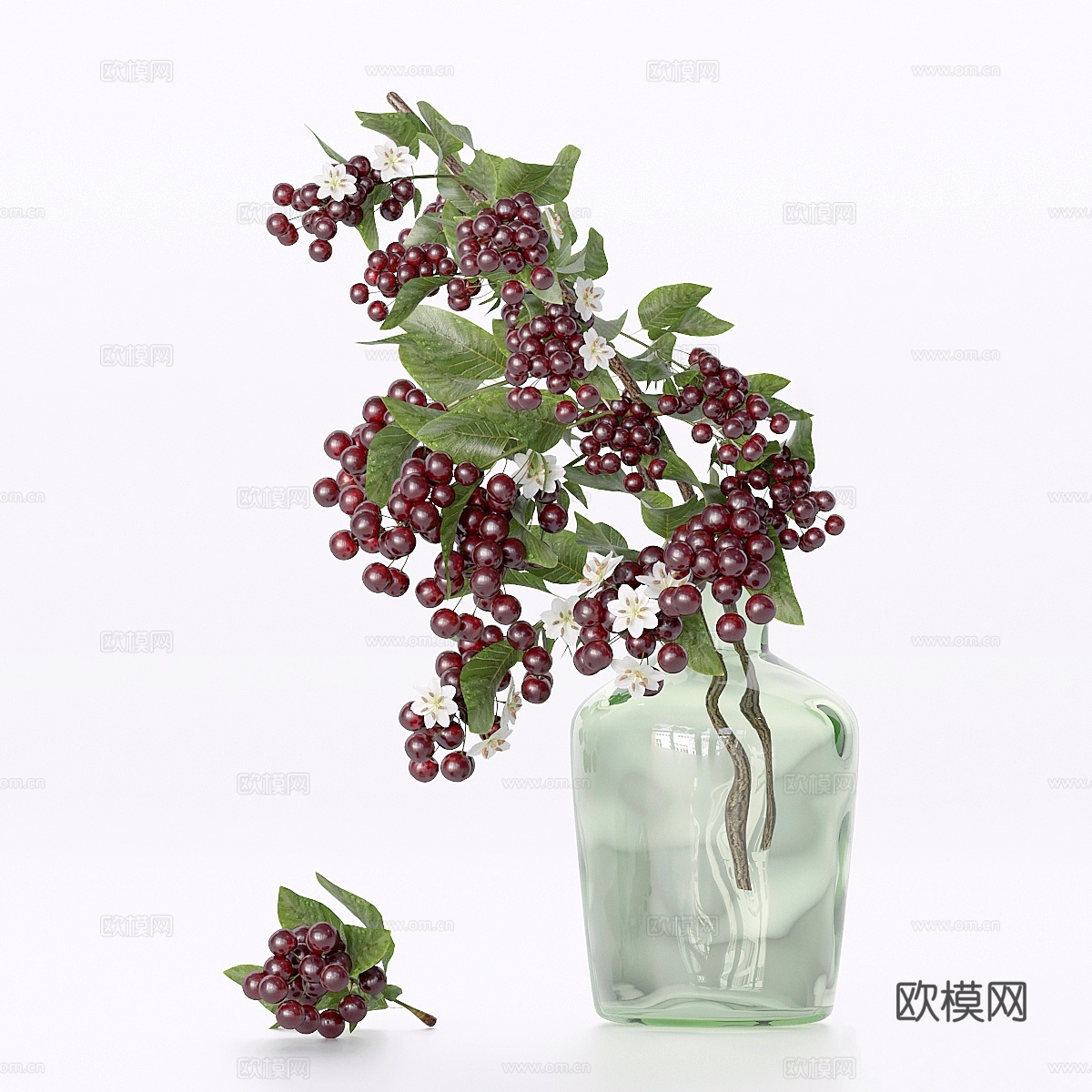 樱桃李3d模型下载