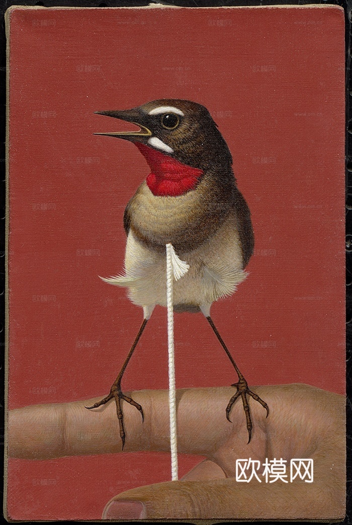 静物油画，静物画，抽象画，装饰画，艺术画