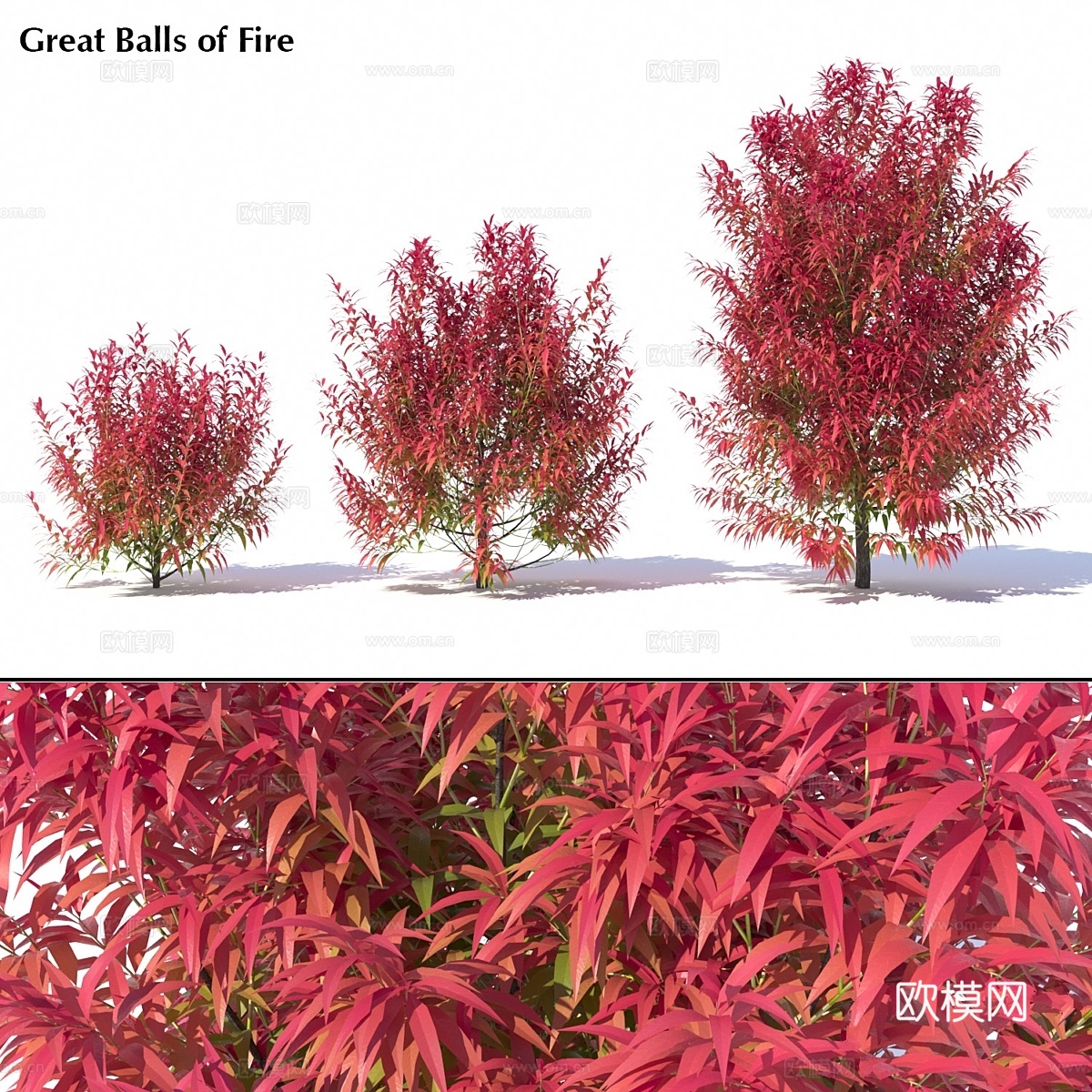 烈焰滚滚3d模型下载