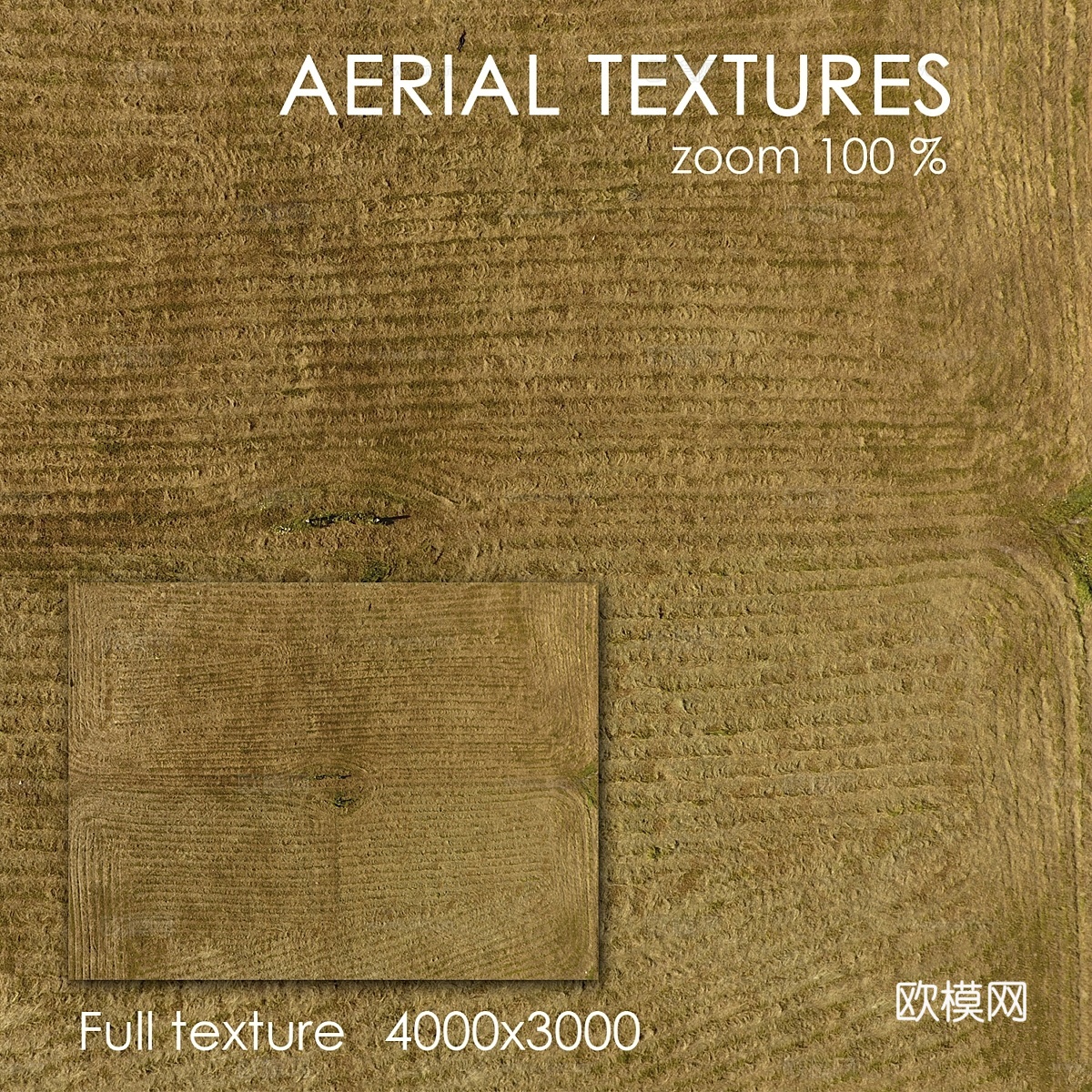 草地田野3d模型下载