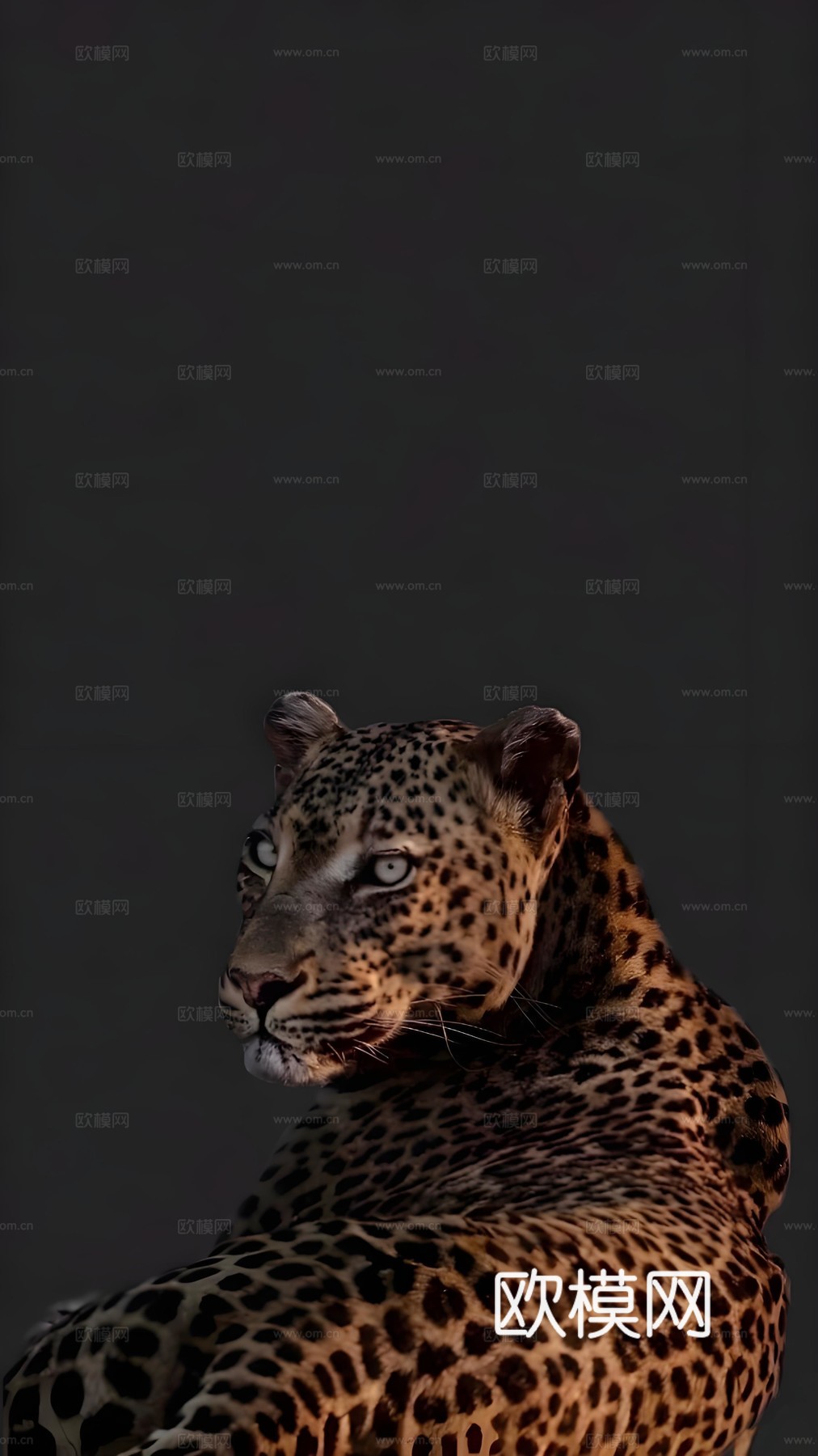 艺术画芯下载（渲染图4）