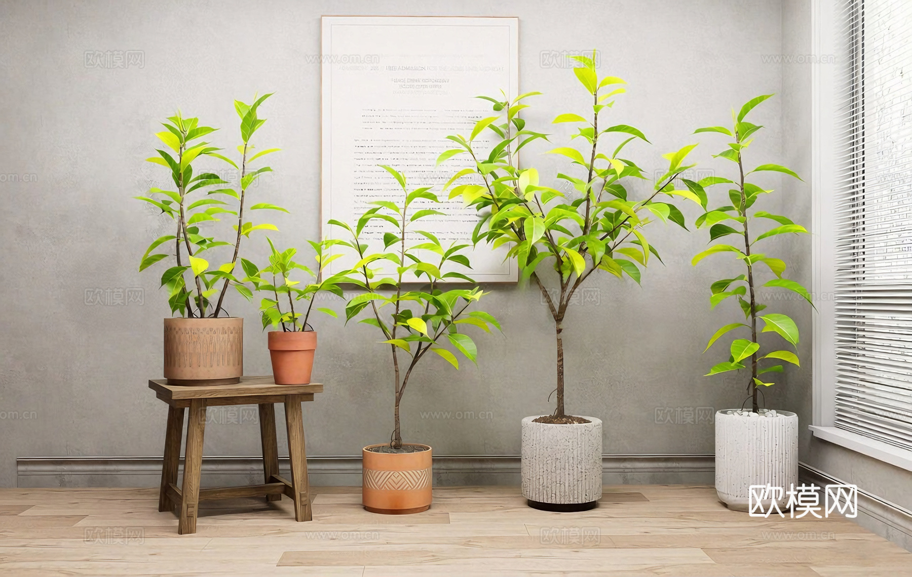 侘寂风绿植 室内植物 角落造景 琴叶榕su模型下载（渲染图2）