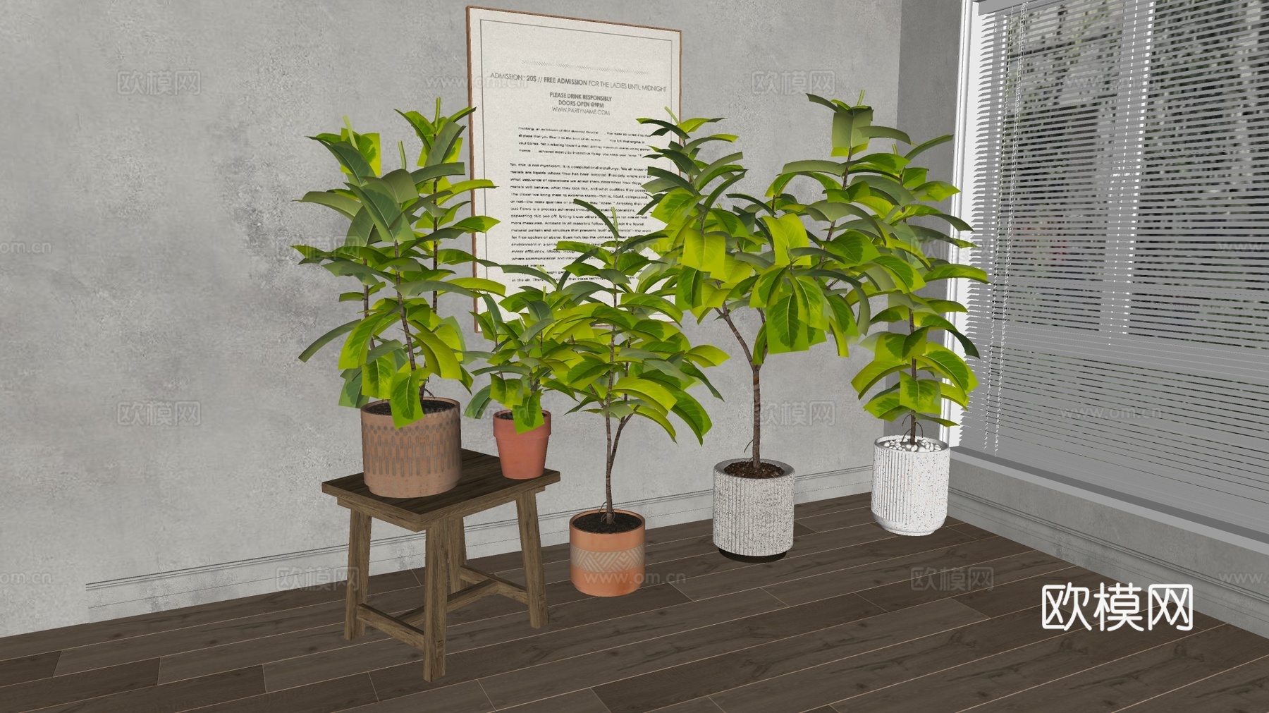 侘寂风绿植 室内植物 角落造景 琴叶榕su模型下载（渲染图3）