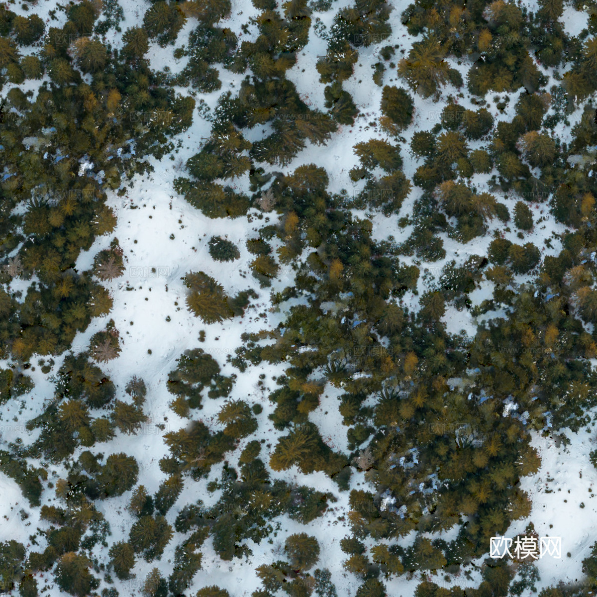 铺满白雪的树林森林俯视图7