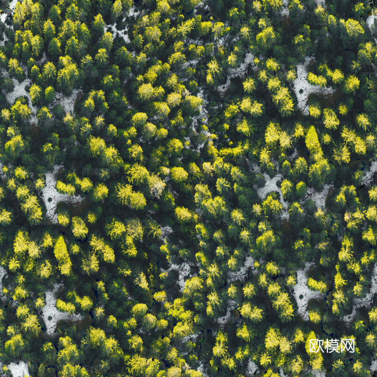 铺满白雪的树林森林俯视图1