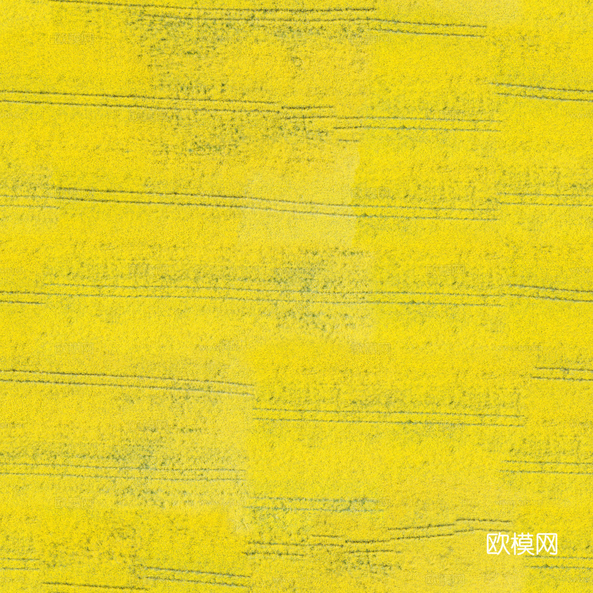 农田油菜花田147