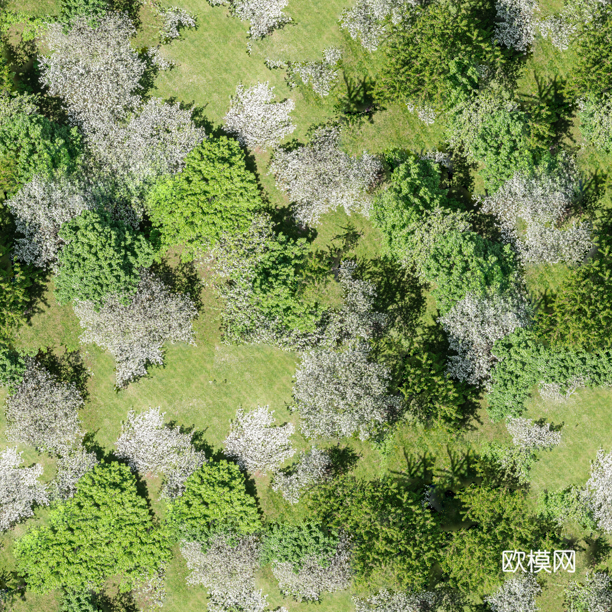 樱花、桃花、梨花花海花林8下载