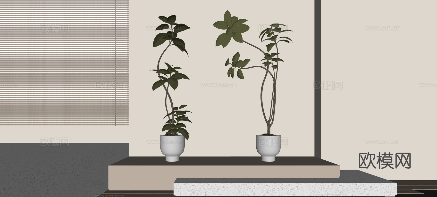 盆栽 现代绿植盆栽 黑金刚橡皮树 陶瓷盆栽绿植su模型