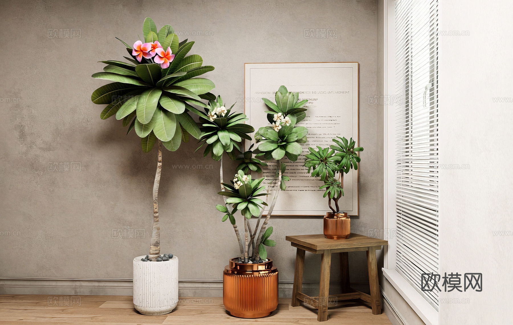 现代简约风室内绿植 琴叶榕 陶瓷花盆 桌面小盆栽su模型su模型