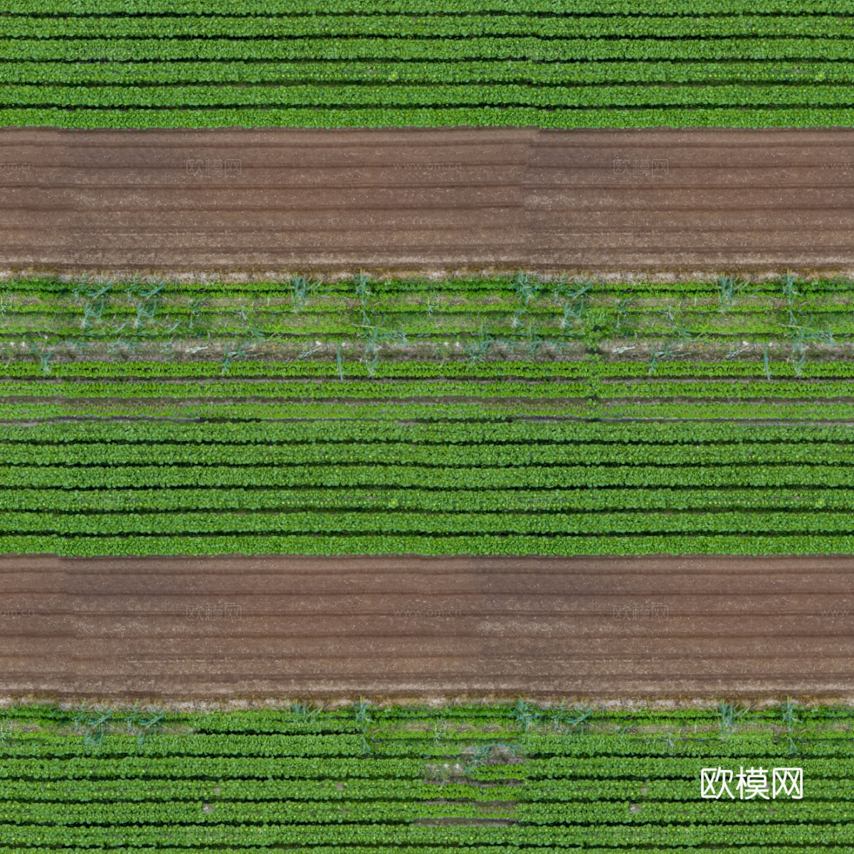 菜地农田农作物俯视图27下载