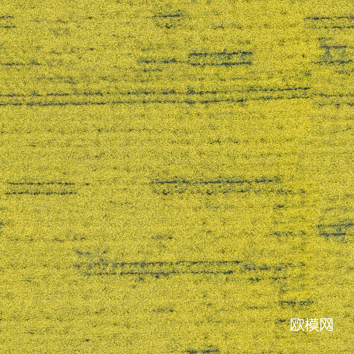 农田油菜花田226