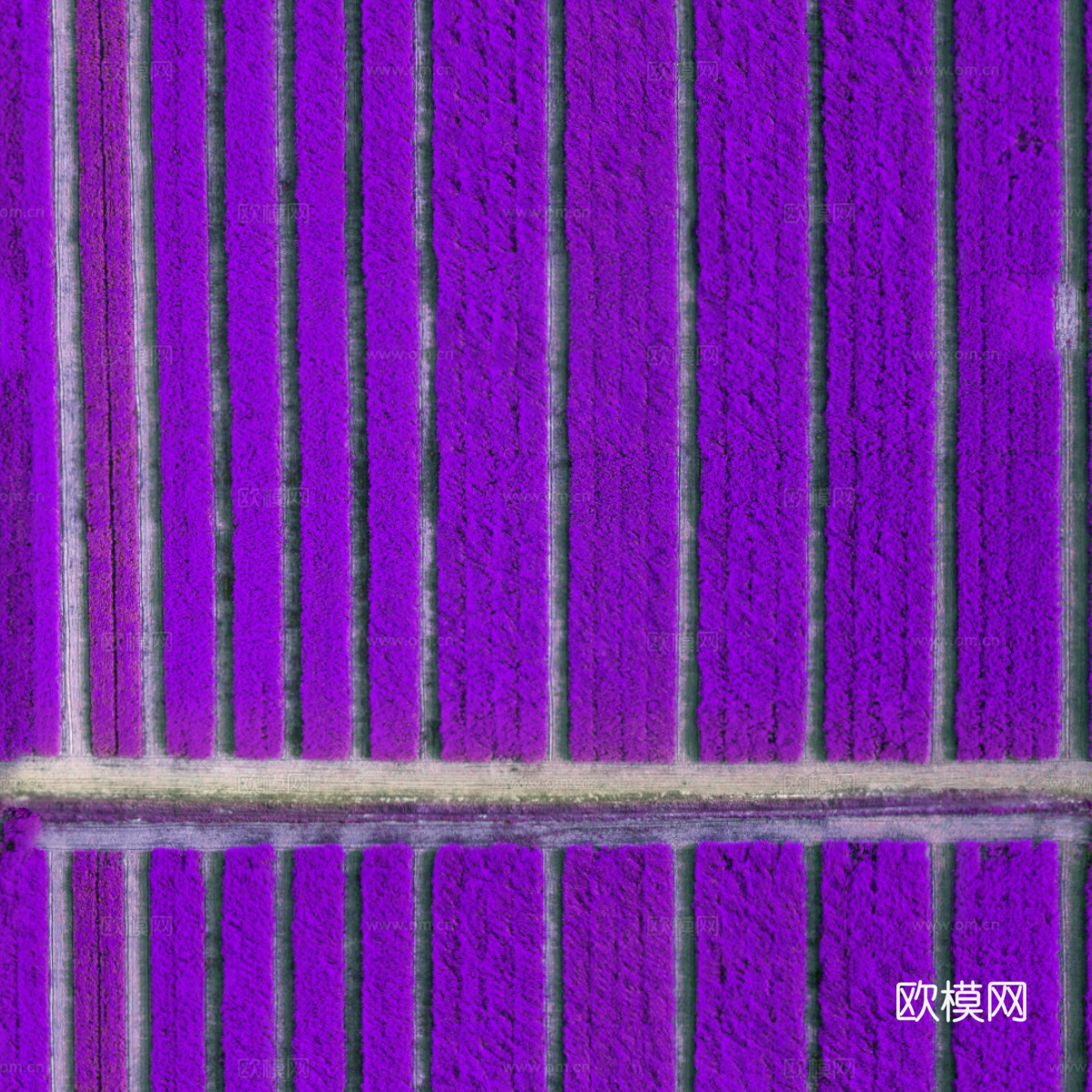 花田花海56下载