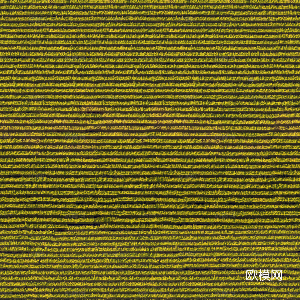 菜地农田农作物俯视图8下载