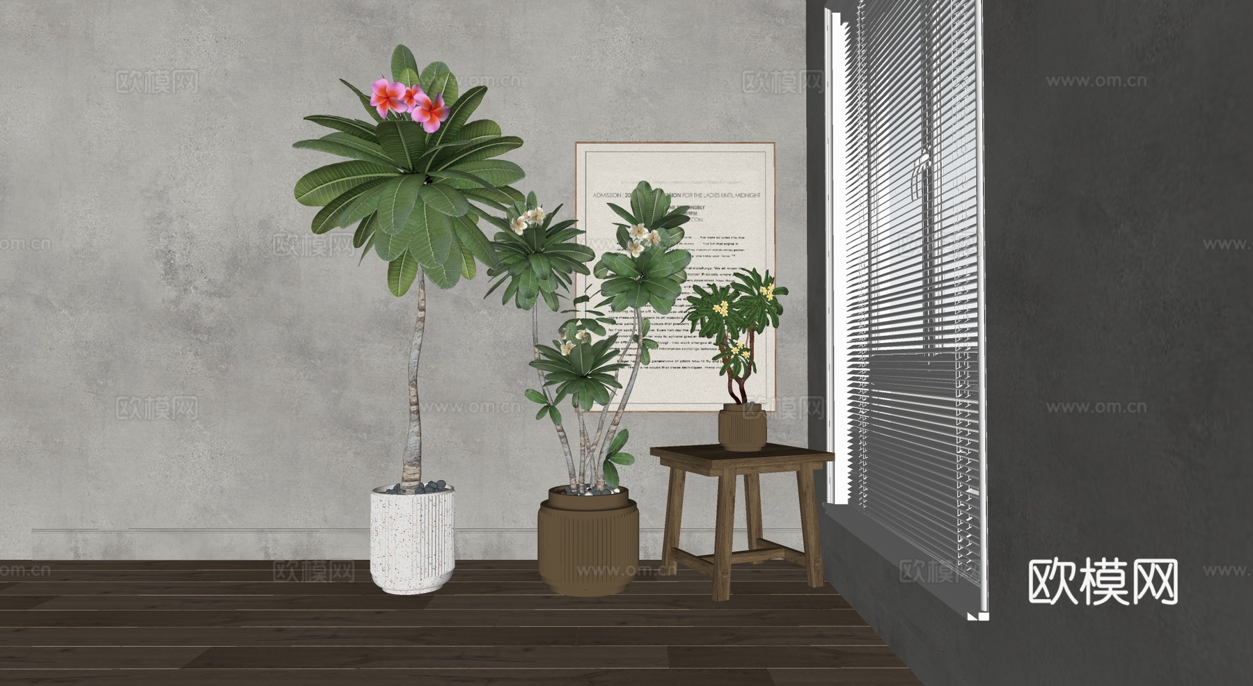 现代简约风室内绿植 琴叶榕 陶瓷花盆 桌面小盆栽su模型su模型