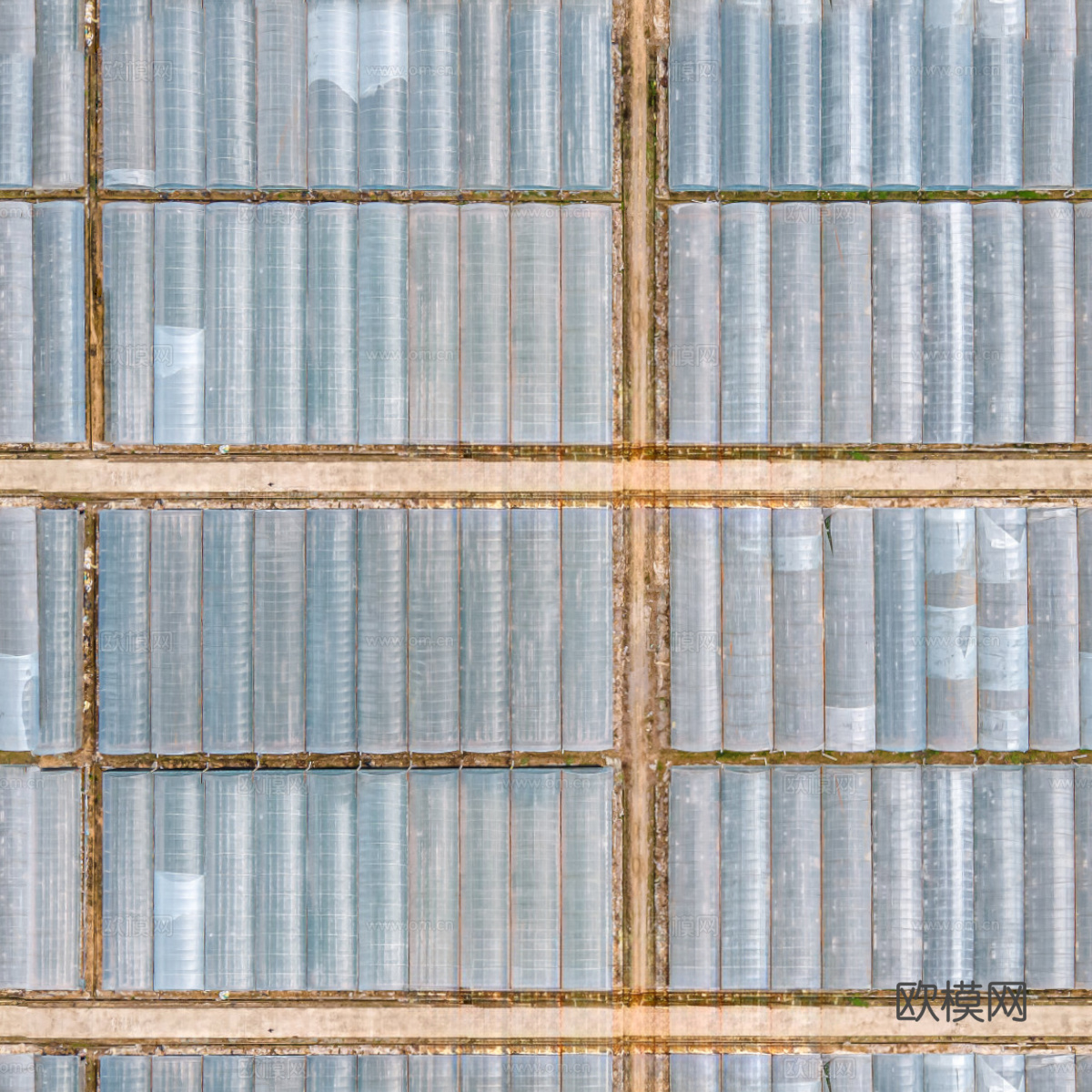 菜地农田农作物俯视图82下载