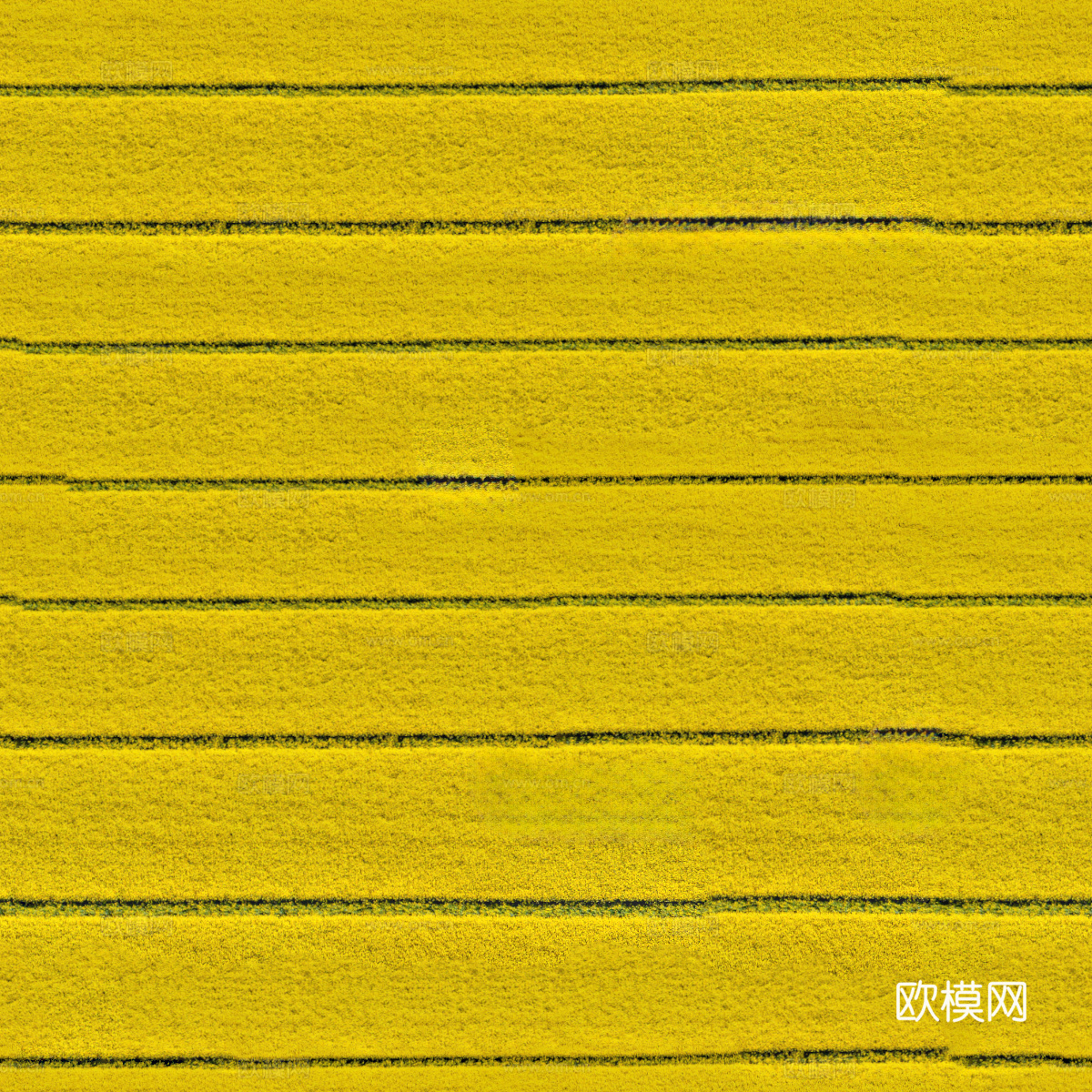 农田油菜花田195下载