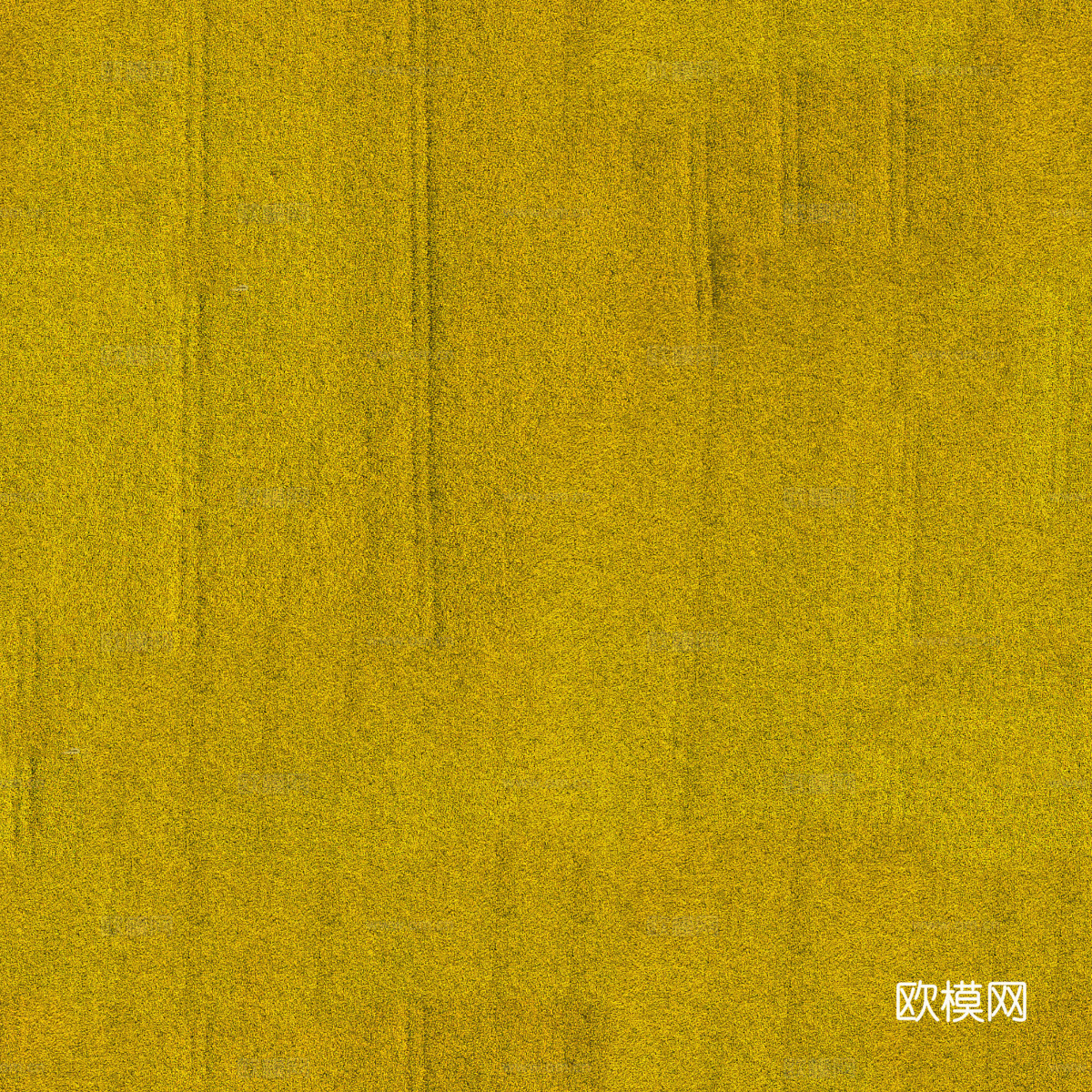 农田油菜花田230下载