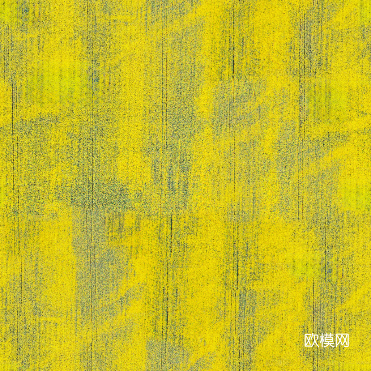 农田油菜花田159