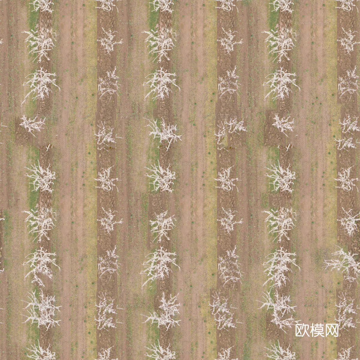 果园贴图35下载