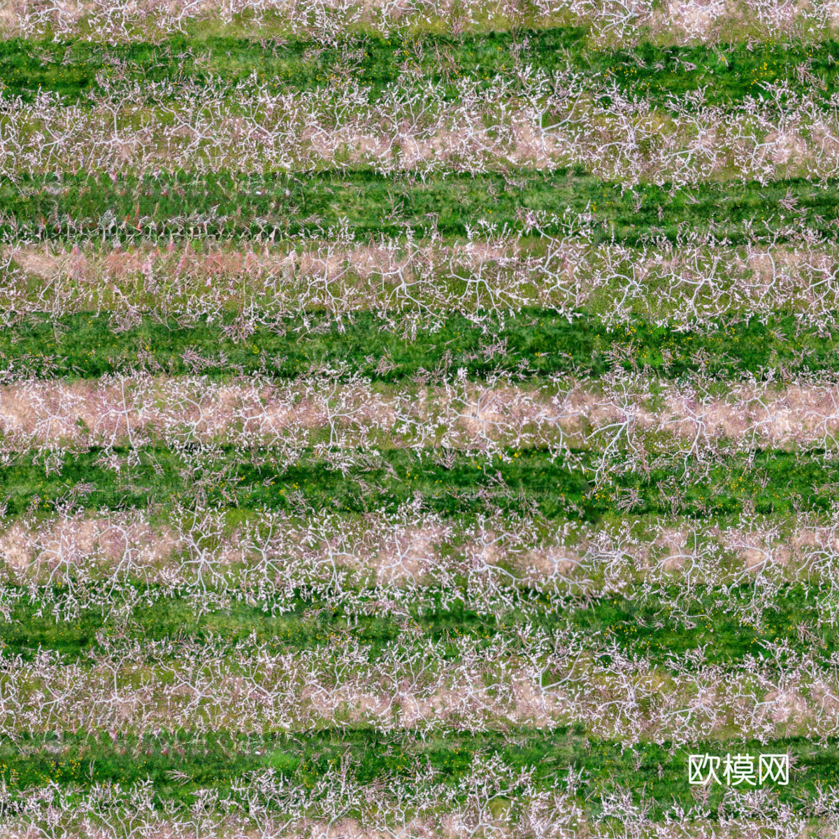 菜地农田农作物俯视图51下载