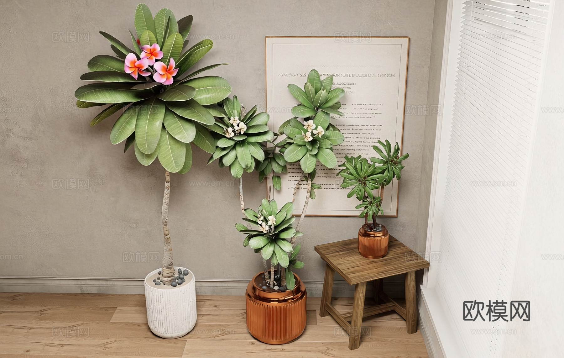 现代简约风室内绿植 琴叶榕 陶瓷花盆 桌面小盆栽su模型su模型