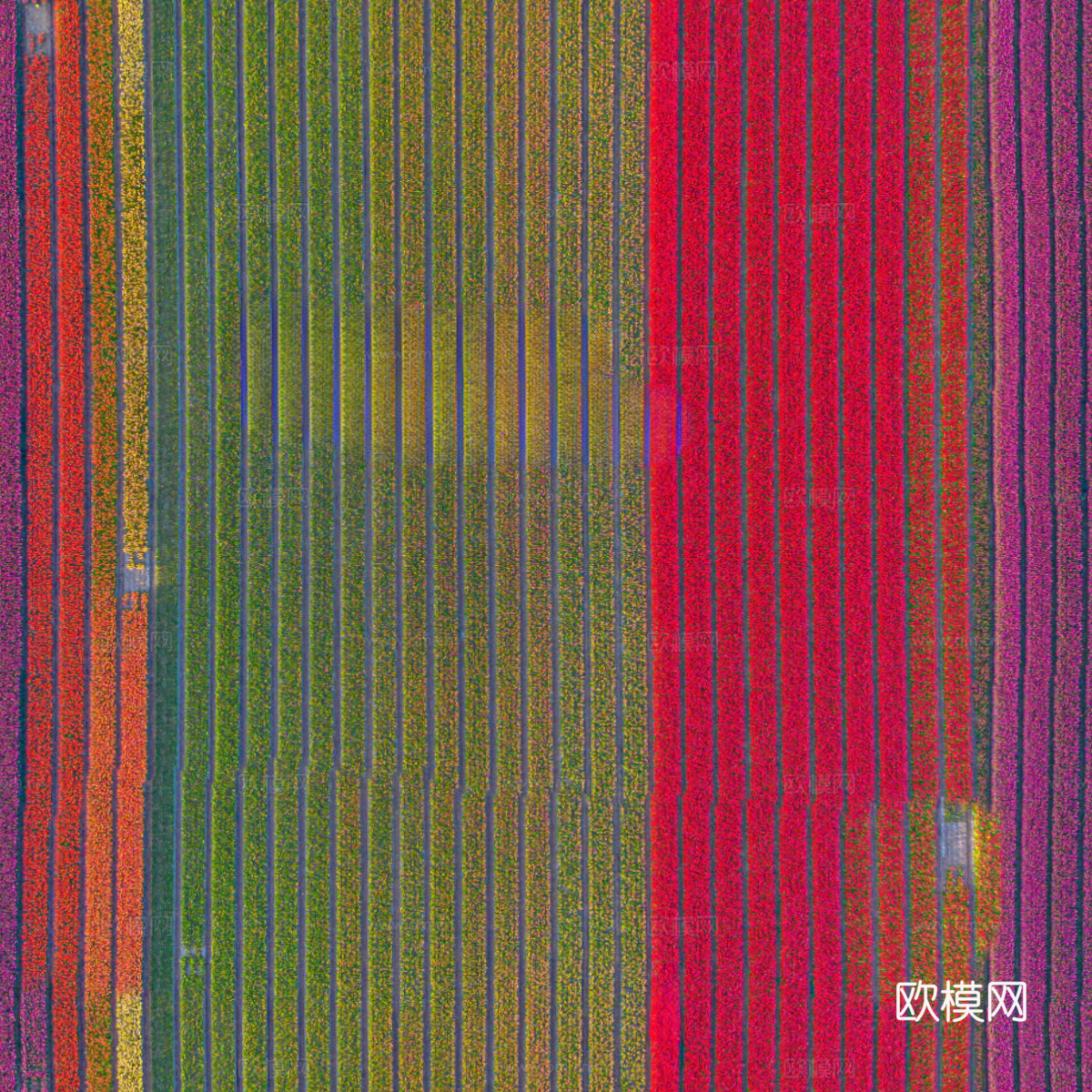 花田花海76下载