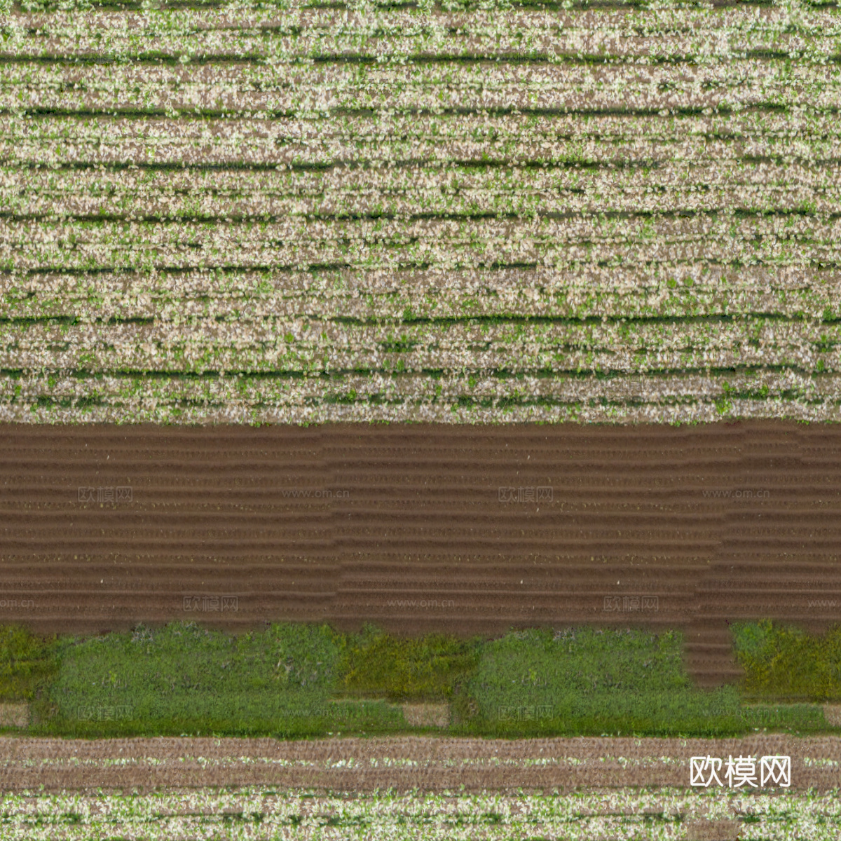 菜地农田农作物俯视图48下载