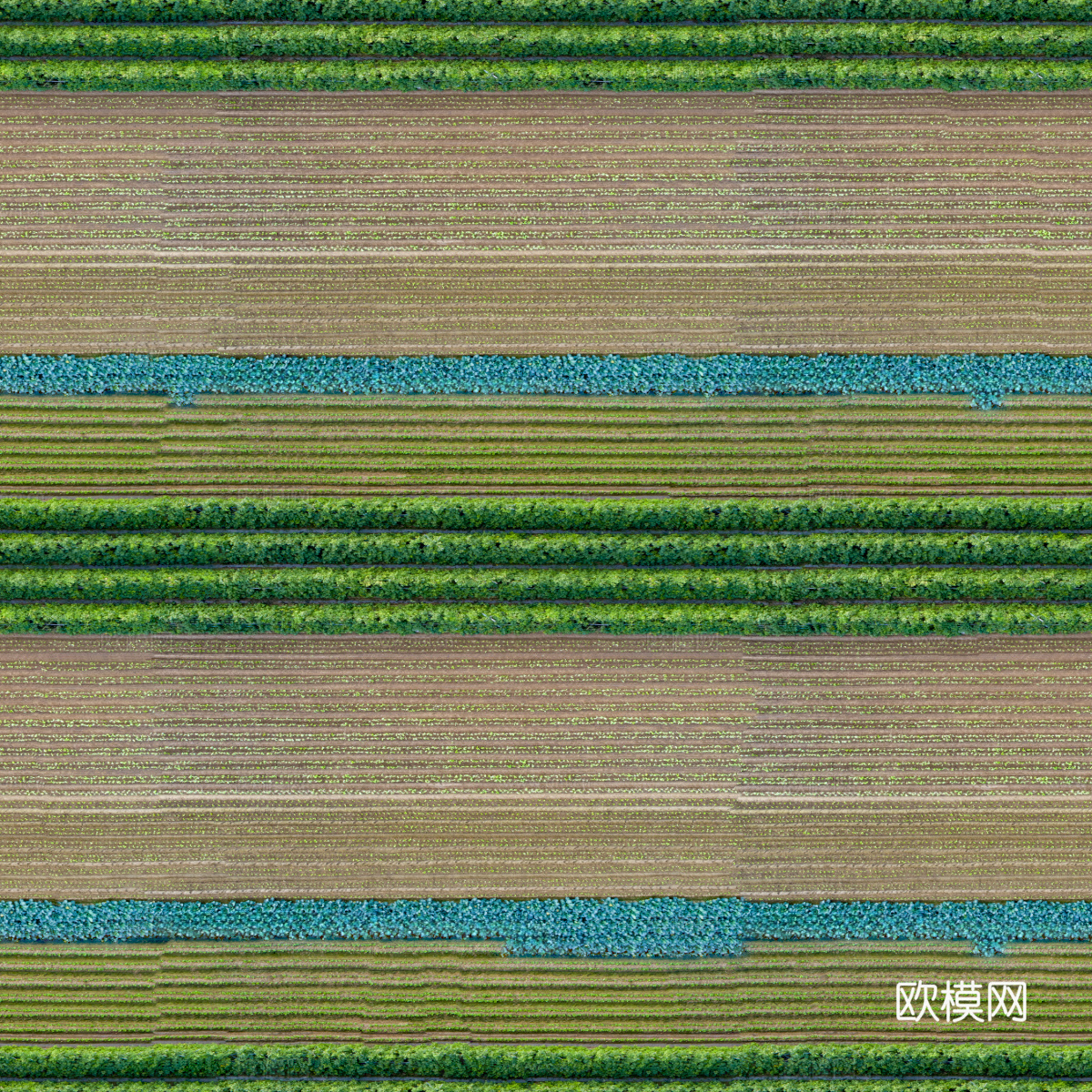 菜地农田农作物俯视图38下载