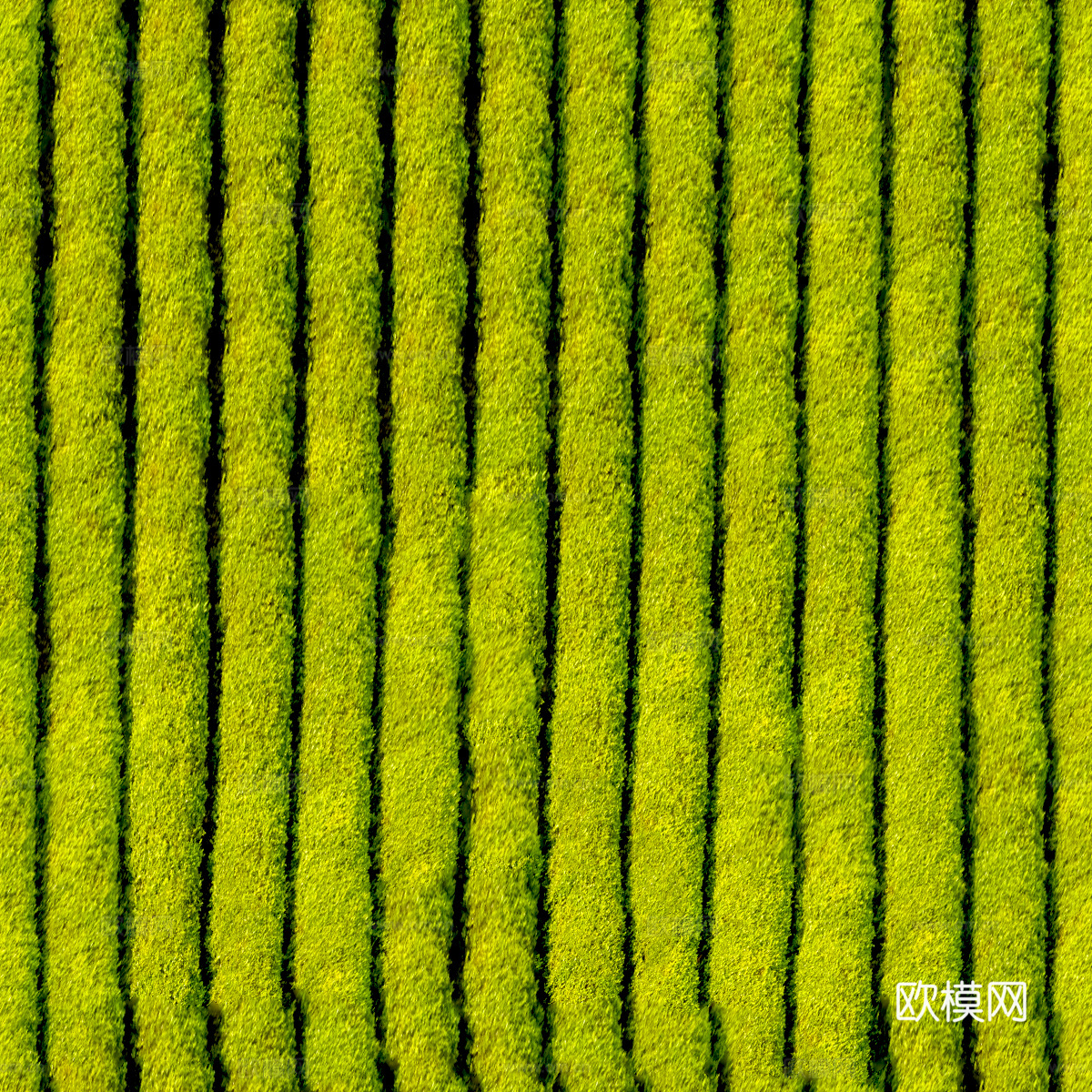 满山茶园茶山茶树俯视图168下载