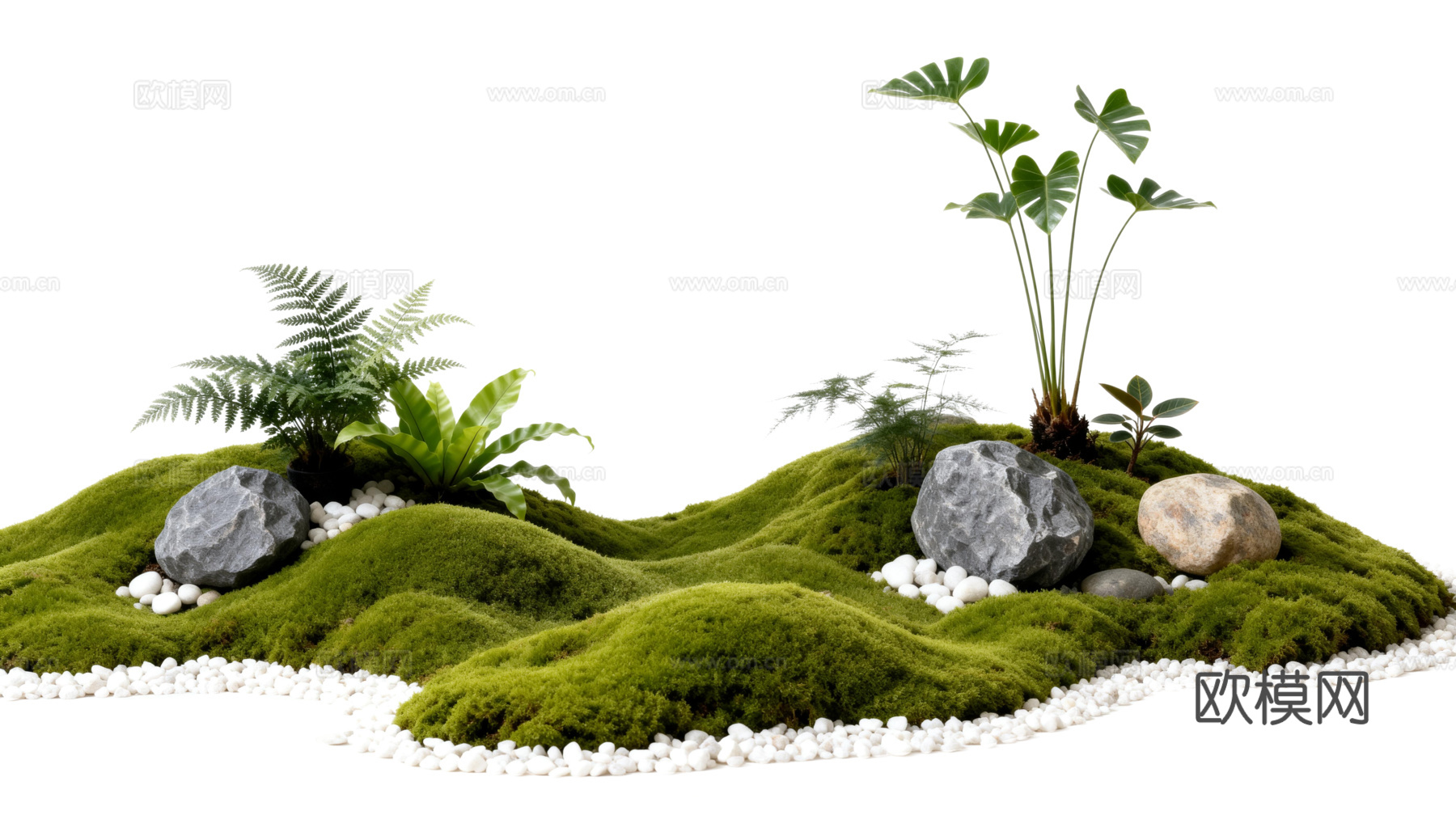 免抠植物花草 自然石景植物组合 苔藓