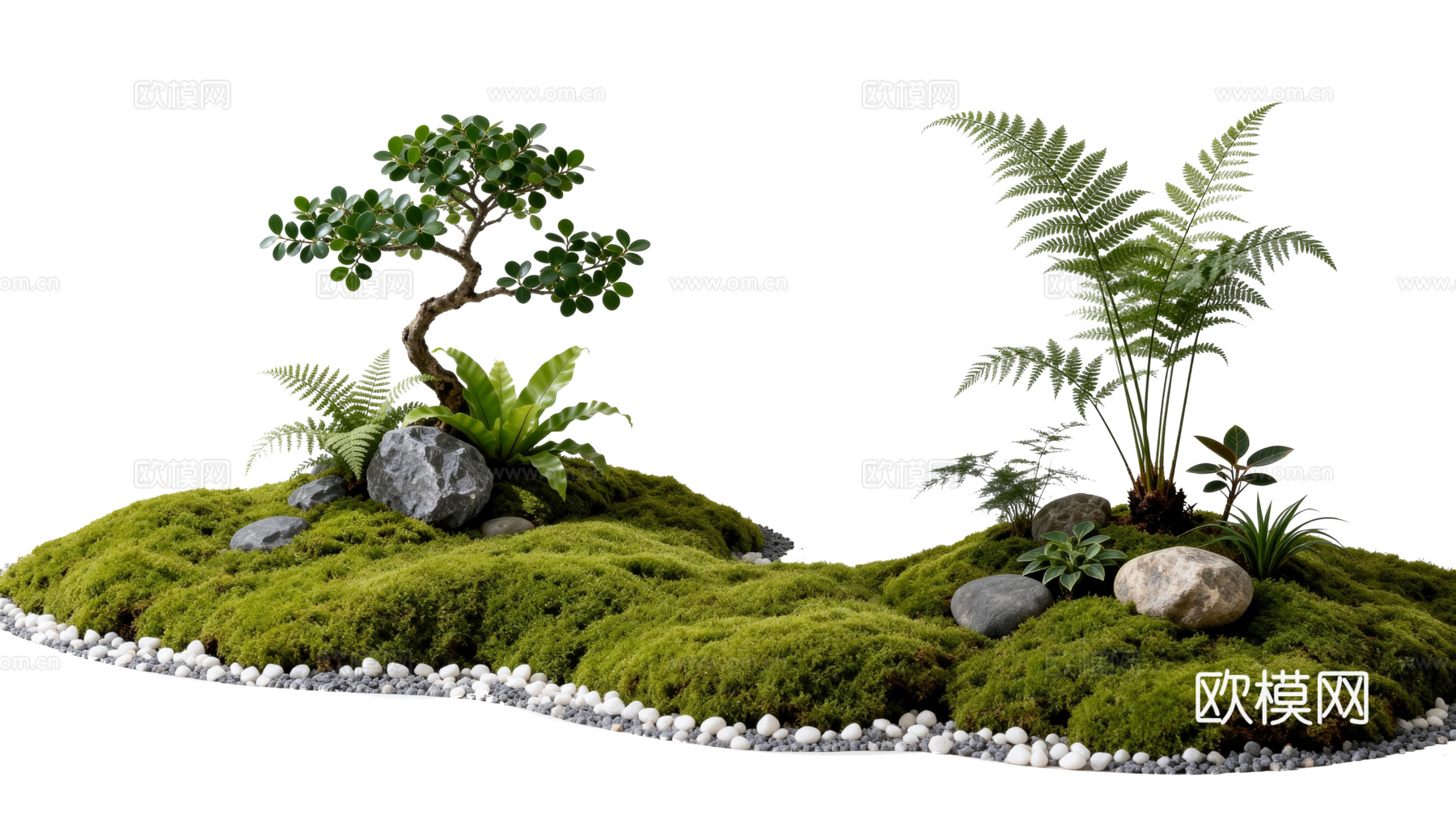 免抠植物花草 自然石景植物组合 苔藓